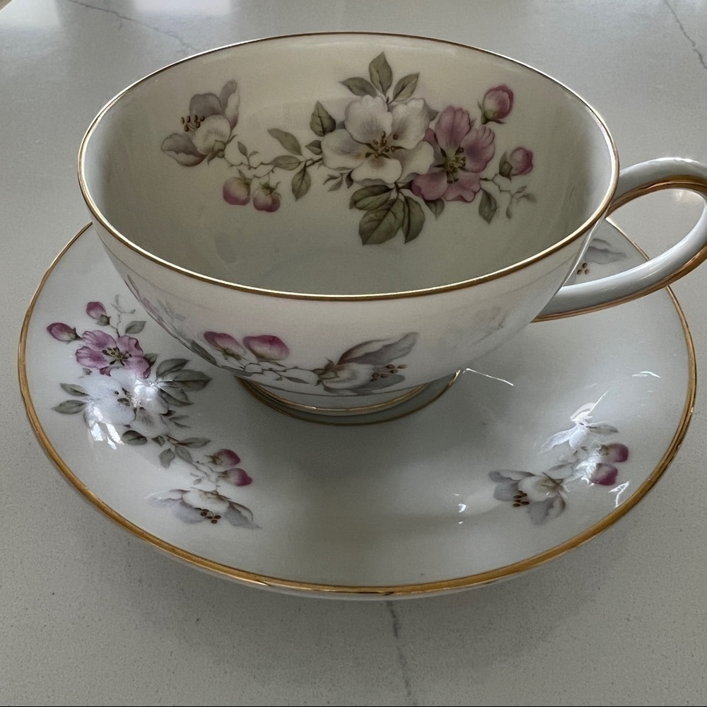 𝅺BAVARIA Germany, Tirschenreuth, Pasco 4 Cup and 4 Saucer Sets as one bundle